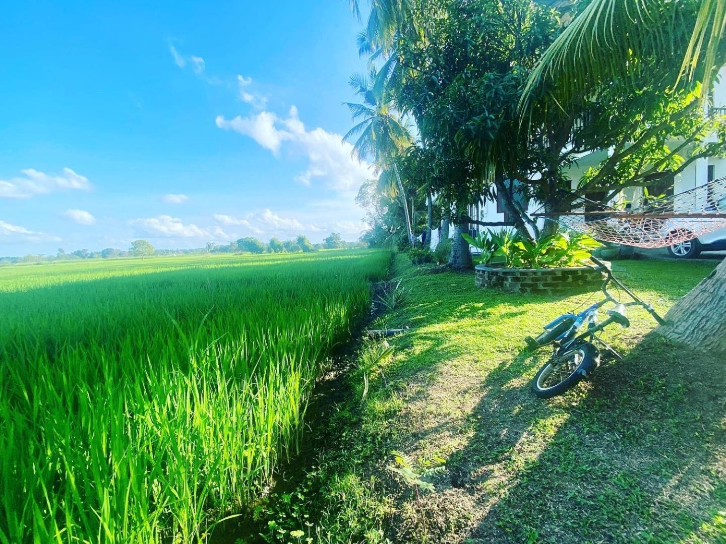 Aroma Villa Homestay Polonnaruwa Exteriér fotografie