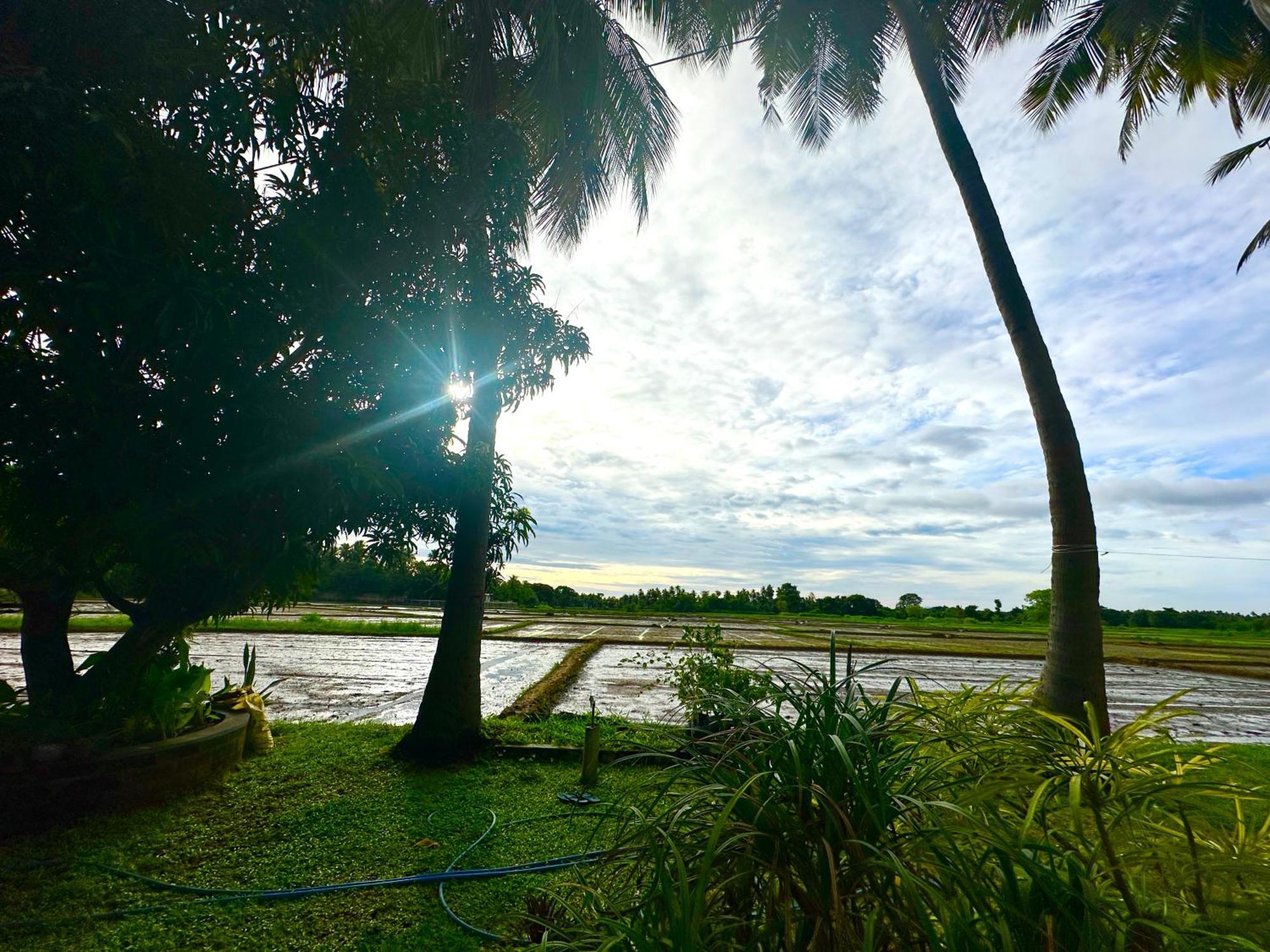 Aroma Villa Homestay Polonnaruwa Exteriér fotografie