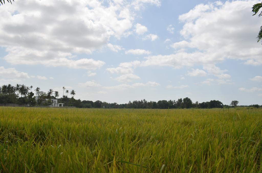 Aroma Villa Homestay Polonnaruwa Exteriér fotografie